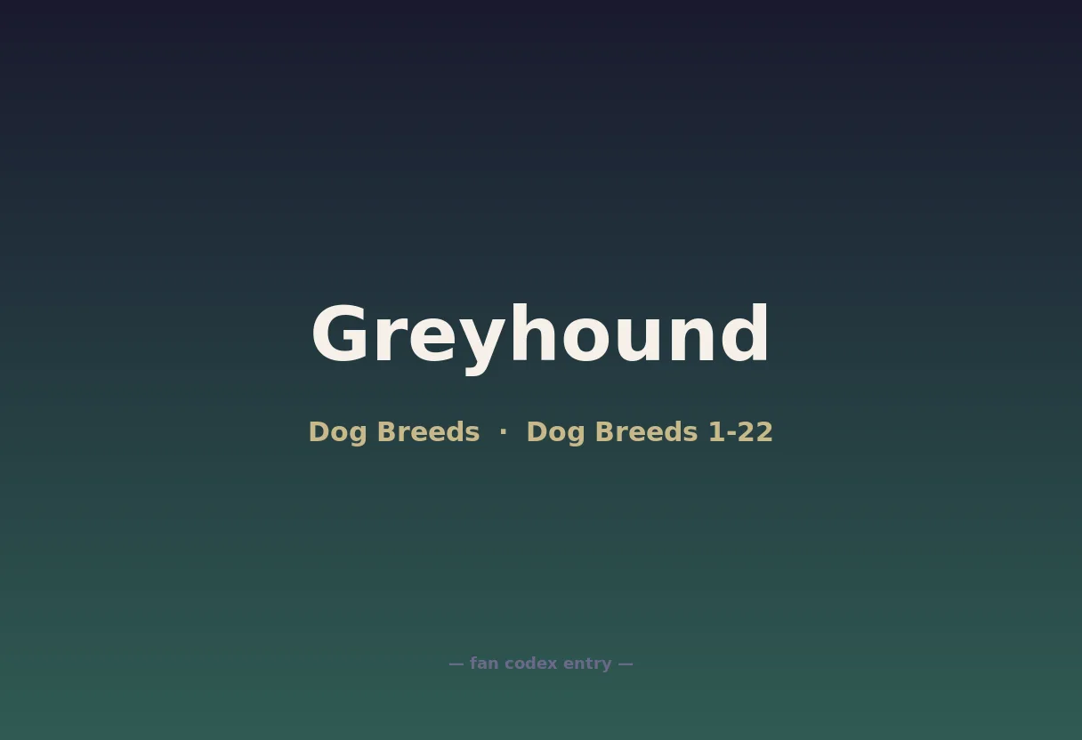Greyhound
